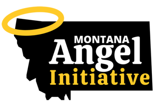 Angel Initiative 2