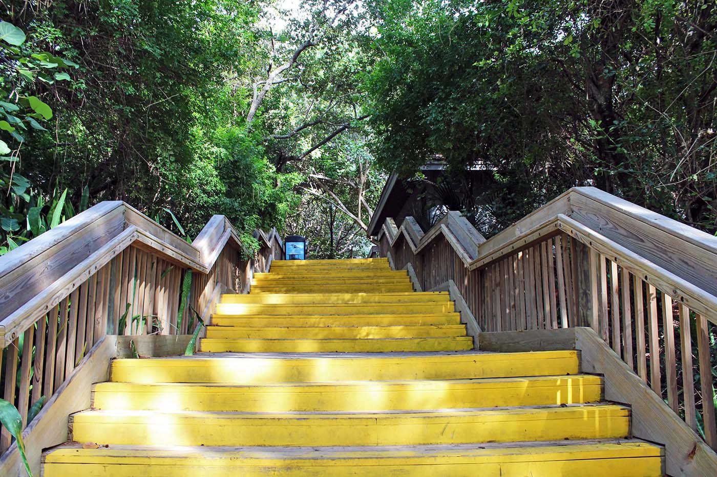 man climbing yellow steps symbolizing solid sobriety progress