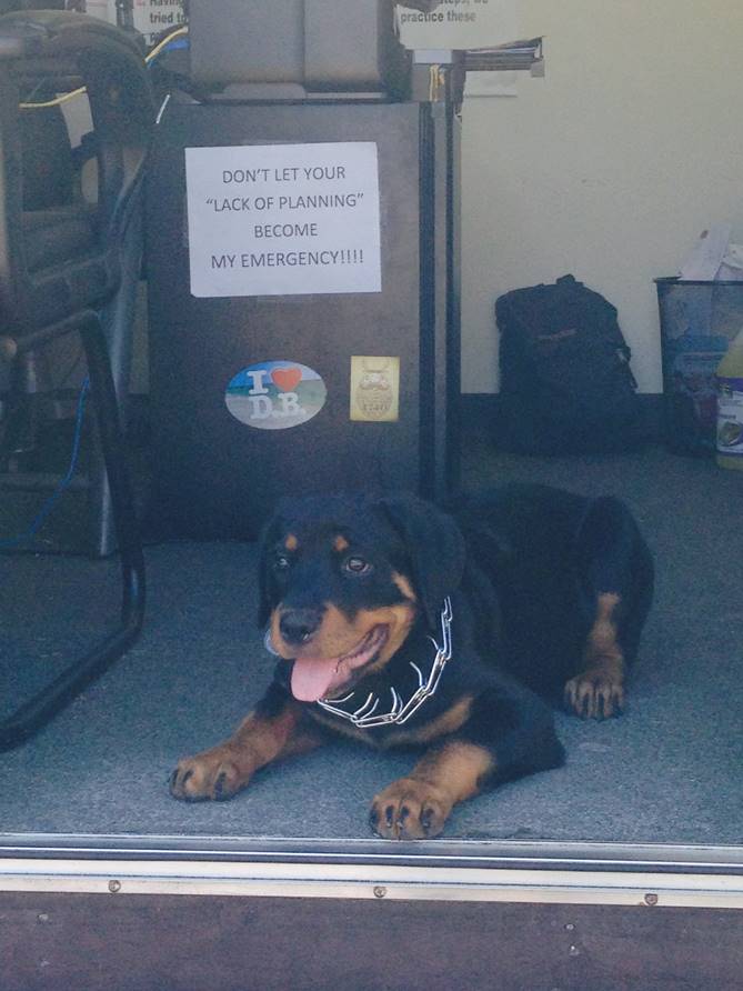 rottweiler puppy lying in doorway at sober living home showing sober living accountability sign
